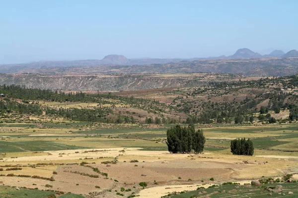 Landwirtschaft in Äthiopien — Stockfoto