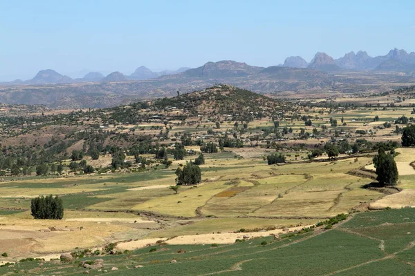 Agricoltura in Etiopia — Foto Stock