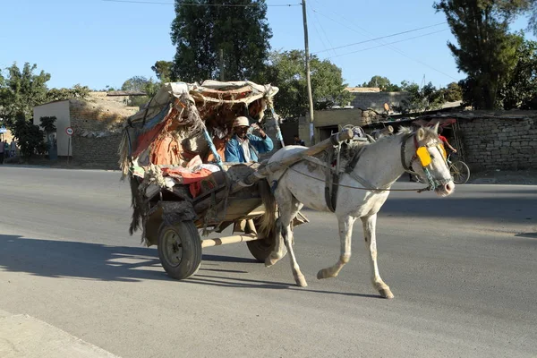 Carruaje de caballos en las calles de Mekele en Etiopía — Foto de Stock