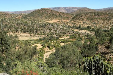 Etiyopya'da Mekele manzaraya