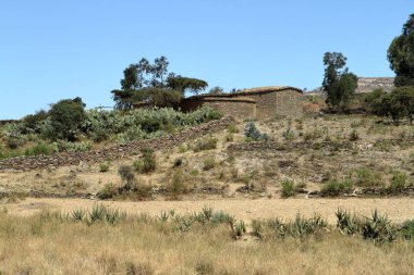 Tahıl alanları ve çiftlikleri Etiyopya