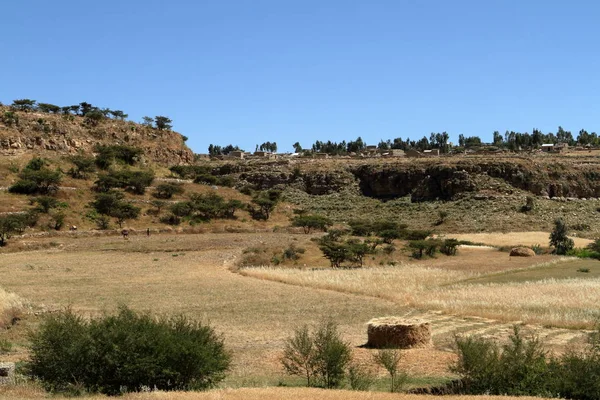 Campos de cereais e fazendas em Etiópia — Fotografia de Stock