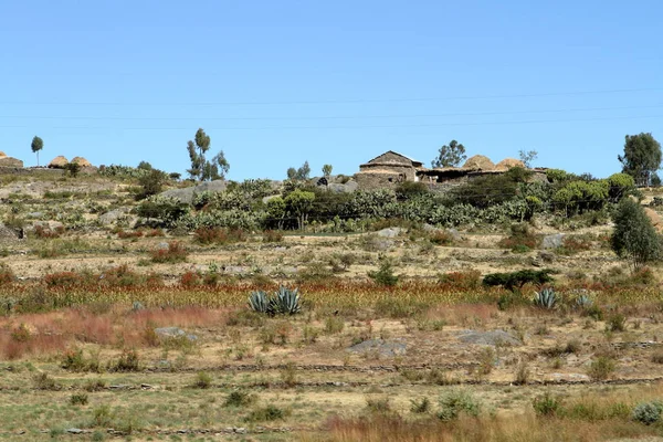 粮田和农场在埃塞俄比亚 — 图库照片