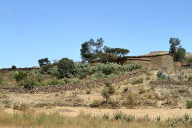 Tahıl alanları ve çiftlikleri Etiyopya