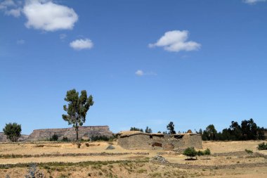 Tahıl alanları ve çiftlikleri Etiyopya