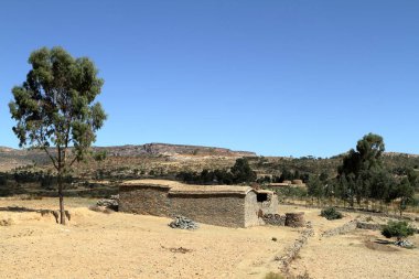 Tahıl alanları ve çiftlikleri Etiyopya