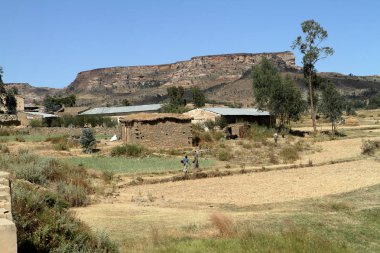 Tahıl alanları ve çiftlikleri Etiyopya