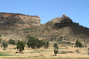 Tahıl alanları ve çiftlikleri Etiyopya