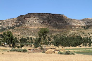 Tahıl alanları ve çiftlikleri Etiyopya