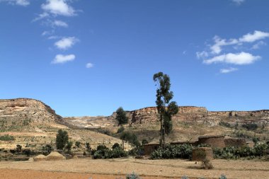 Tahıl alanları ve çiftlikleri Etiyopya