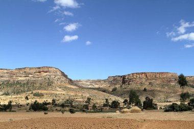 Tahıl alanları ve çiftlikleri Etiyopya
