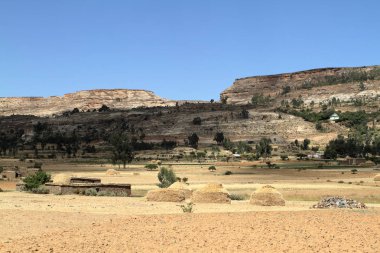 Tahıl alanları ve çiftlikleri Etiyopya