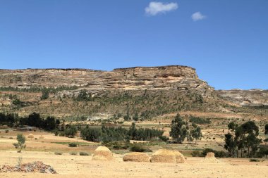 Tahıl alanları ve çiftlikleri Etiyopya