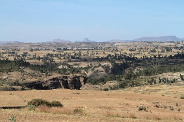 Etiyopya'da Afrika Rift Vadisi