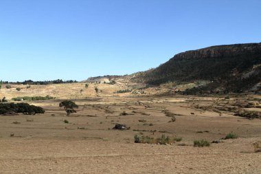 Tahıl alanları ve çiftlikleri Etiyopya