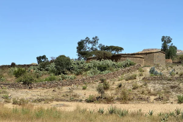 Tahıl alanları ve çiftlikleri Etiyopya