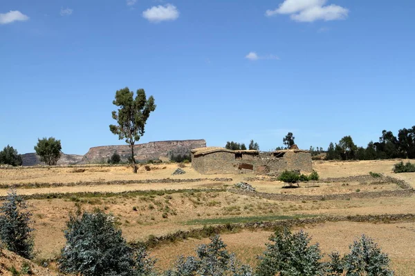 Champs de céréales et fermes en Ethiopie — Photo