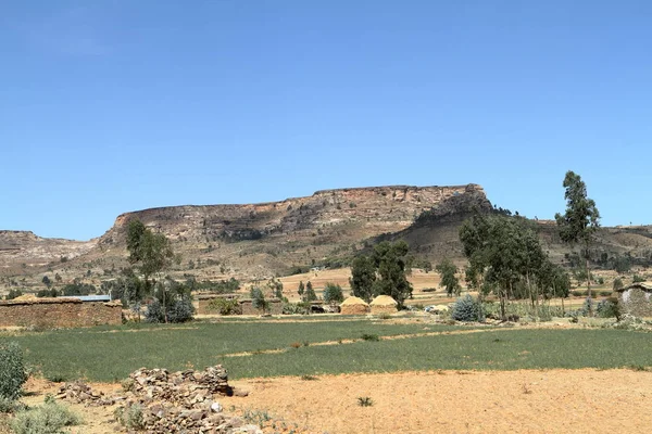 Campi di grano e aziende agricole in Etiopia — Foto Stock