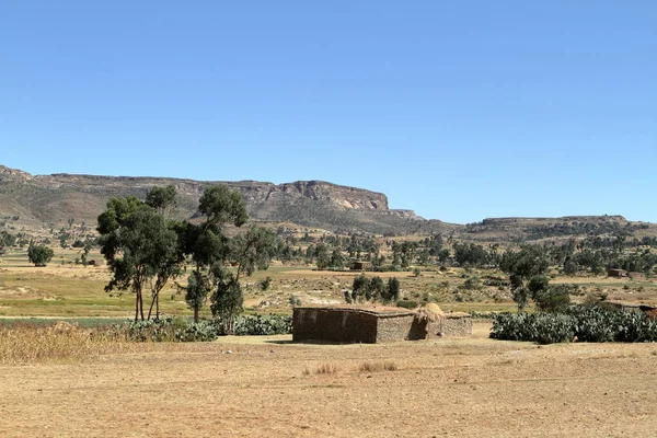 Getreidefelder und Bauernhöfe in Äthiopien — Stockfoto
