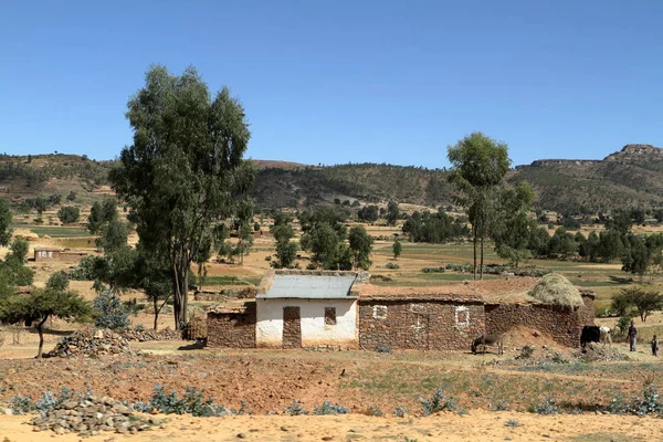 Зерновые поля и фермы Эфиопии — стоковое фото