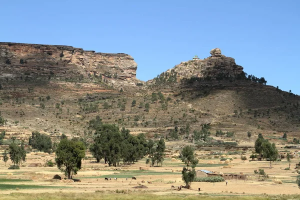 Tahıl alanları ve çiftlikleri Etiyopya