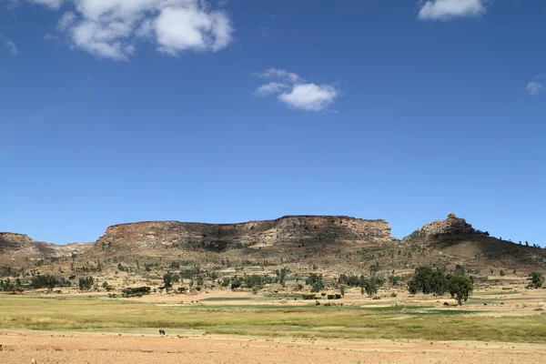 Tahıl alanları ve çiftlikleri Etiyopya