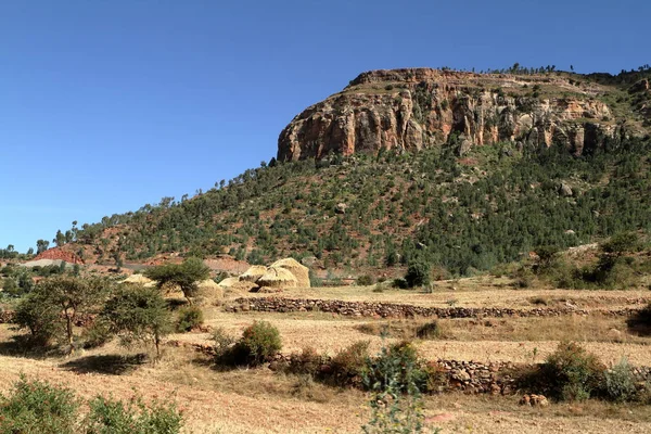 Graanvelden en boerderijen in Ethiopië — Stockfoto