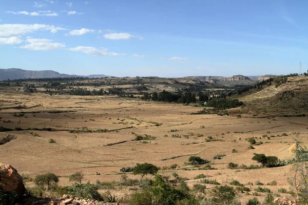 Grain fields and farms in Ethiopia — Stock Photo, Image