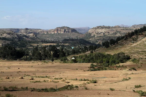 Campi di grano e aziende agricole in Etiopia — Foto Stock