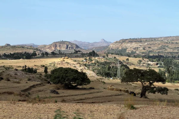 Campos de cereais e fazendas em Etiópia — Fotografia de Stock