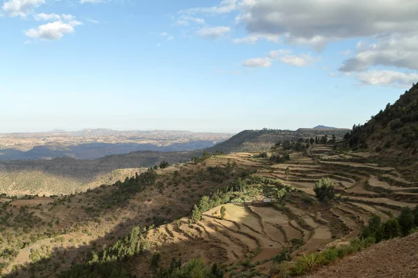 Korn fält och gårdar i Etiopien — Stockfoto