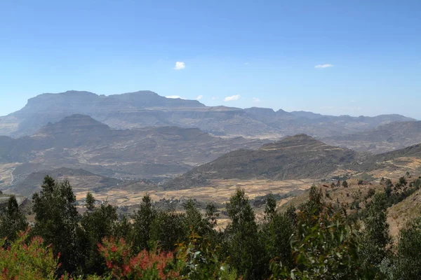 Graanvelden en landschappen in Ethiopië — Stockfoto
