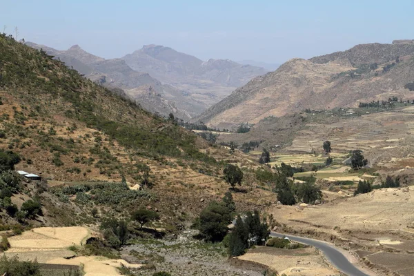 Χωράφια σιταριού και τοπία στην Αιθιοπία — Φωτογραφία Αρχείου