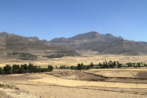 Getreideernte und Felder in Äthiopien — Stockfoto