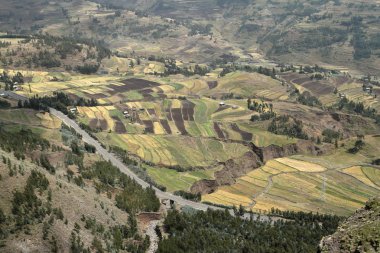 Etiyopya'da Lalibela yakınındaki manzara