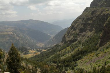 Etiyopya'da Lalibela yakınındaki manzara