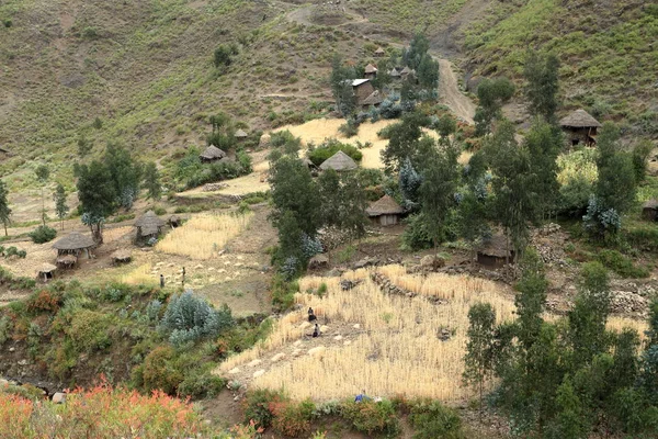 หมู่บ้านและฟาร์มในเอธิโอเปีย — ภาพถ่ายสต็อก