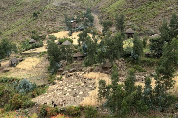 Pueblos y granjas en Etiopía — Foto de Stock