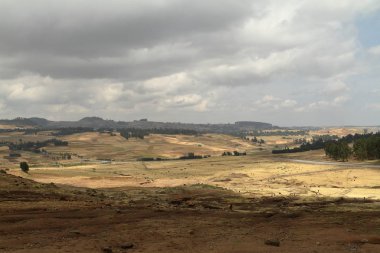  Tarım ve tarım Afrika