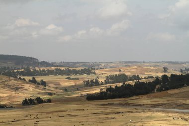  Tarım ve tarım Afrika