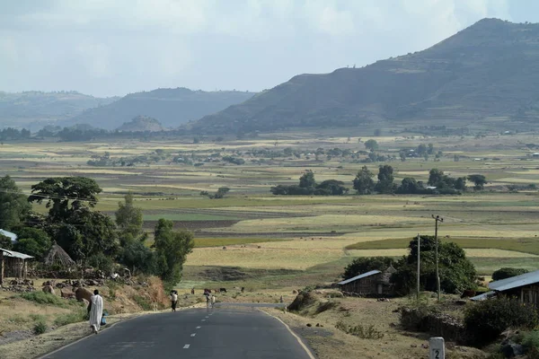 Manzara Afrika Etiyopya — Stok fotoğraf