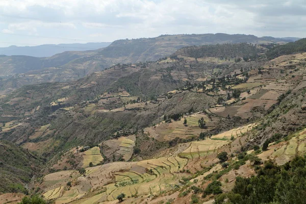 Landwirtschaft und Landwirtschaft in Afrika — Stockfoto