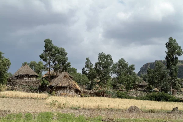 Strawhouses traditionnelles en Afrique — Photo