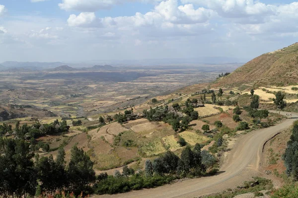 Jordbruk och jordbruk i Afrika — Stockfoto