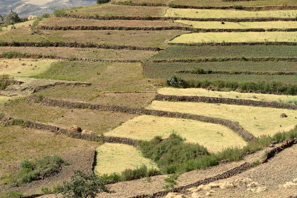 Agriculture and agriculture in Africa — Stock Photo, Image