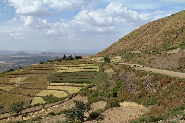 Agricultura y agricultura en África — Foto de Stock