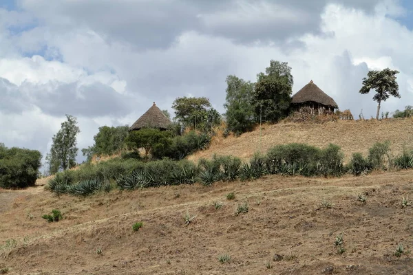 Casas de paja tradicionales en África — Foto de Stock
