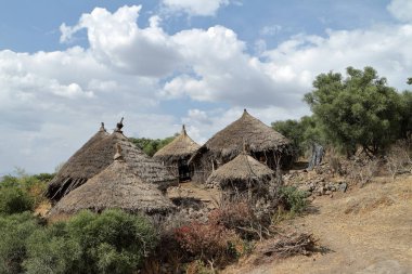Afrika geleneksel strawhouses