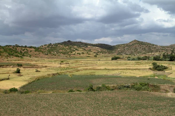 Tarım ve tarım Afrika — Stok fotoğraf