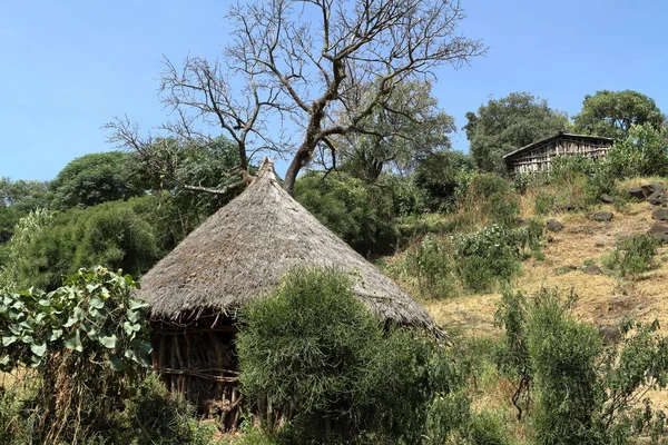 Традиционные соломенные дома в Африке — стоковое фото